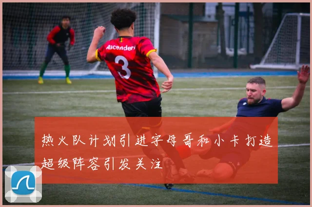 热火队计划引进字母哥和小卡打造超级阵容引发关注
