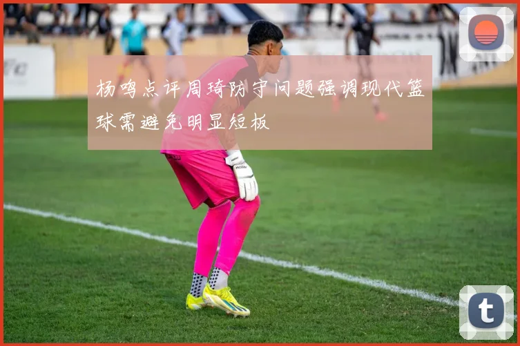 杨鸣点评周琦防守问题强调现代篮球需避免明显短板